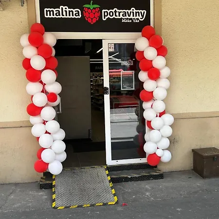 Milet Style And Spacy 2 With Ac In Nivy Апартаменты Братислава